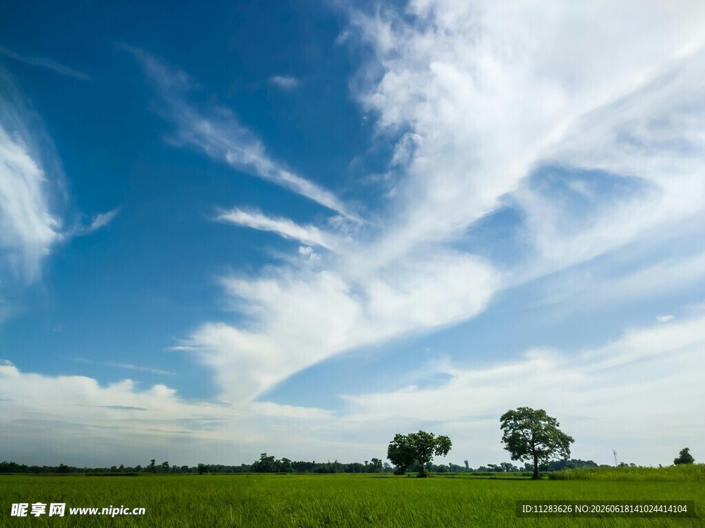 蓝天绿地间的独特风景