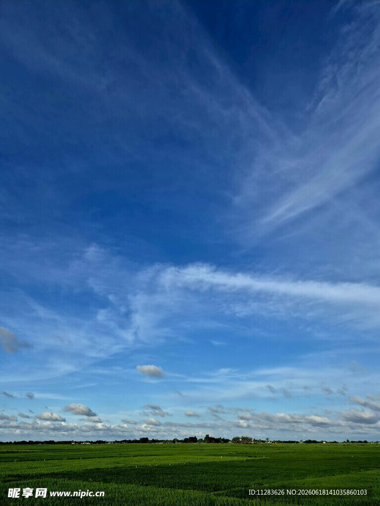 广阔蓝天绿地田园美景