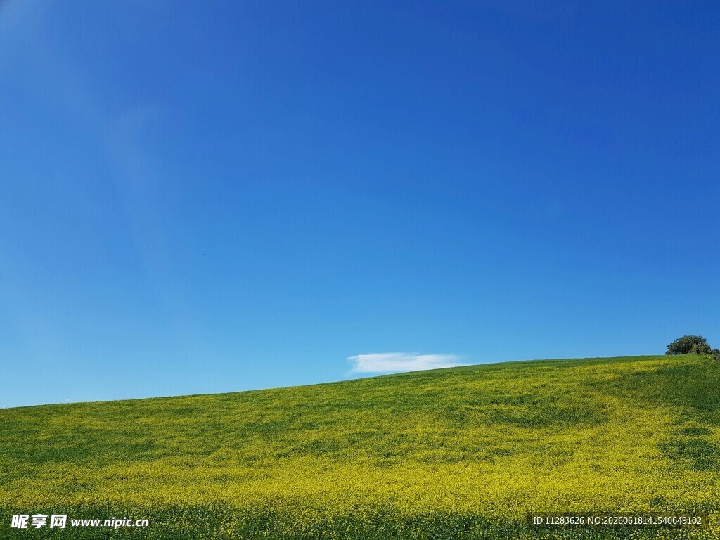 草原蓝天美景