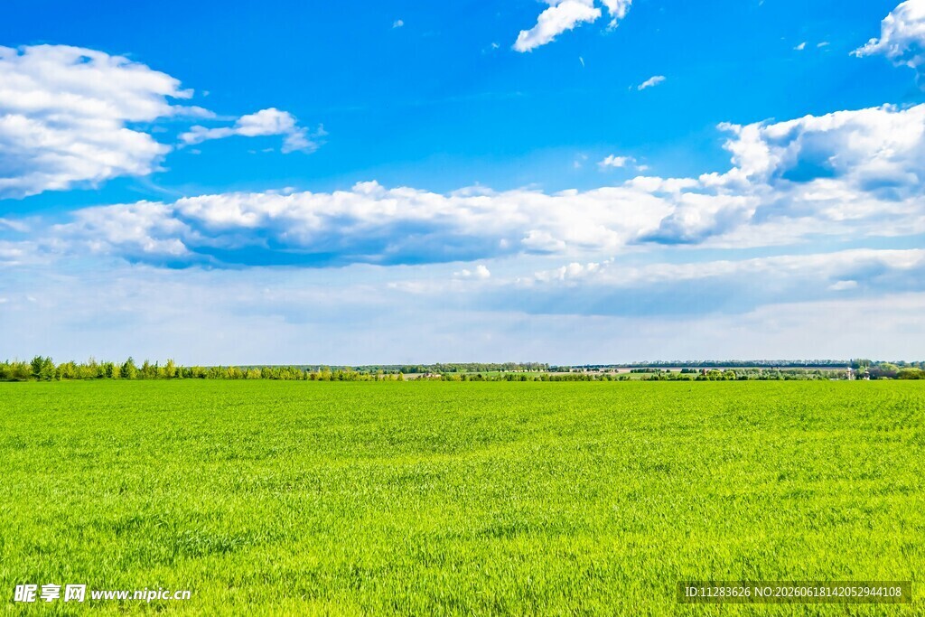 广袤绿野蓝天白云美景