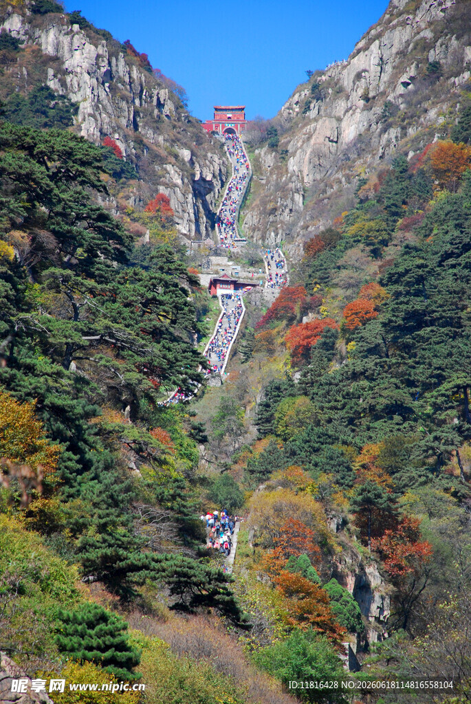 山间秋景多彩林木与飞瀑