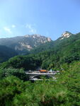 山间绿意中的建筑景观