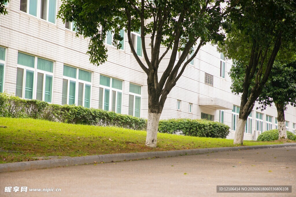 厂区道路旁的绿树与建筑