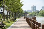 河畔林荫步道景观