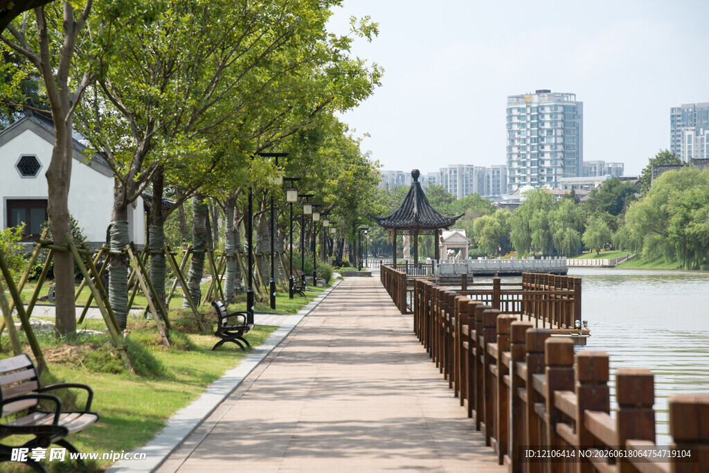河畔林荫步道景观