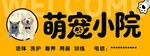 宠物小院