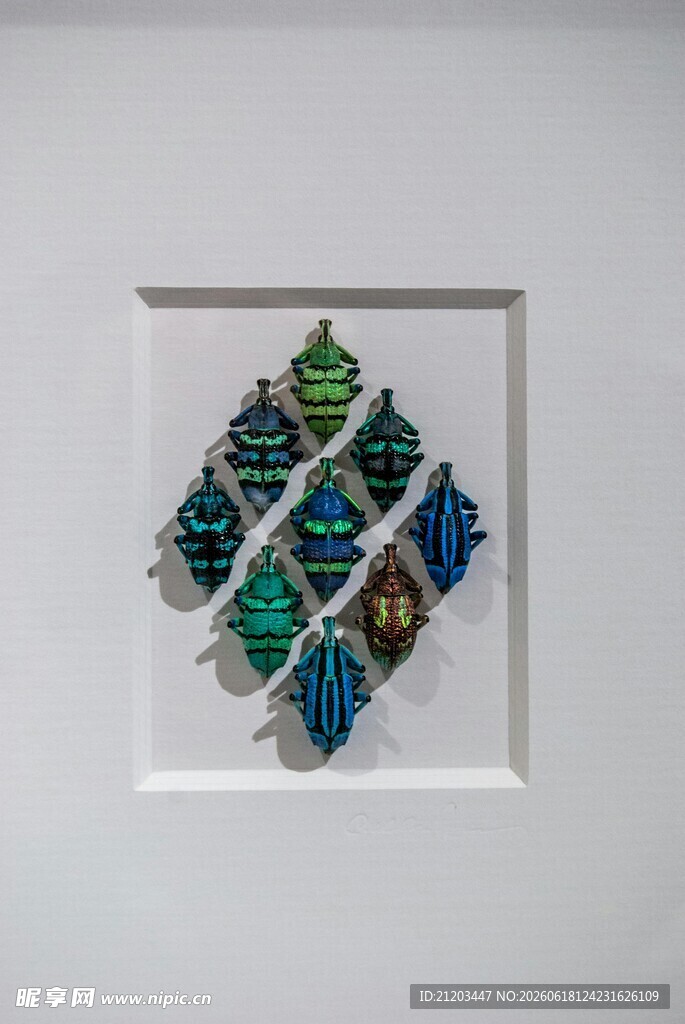 多彩立体装饰艺术作品