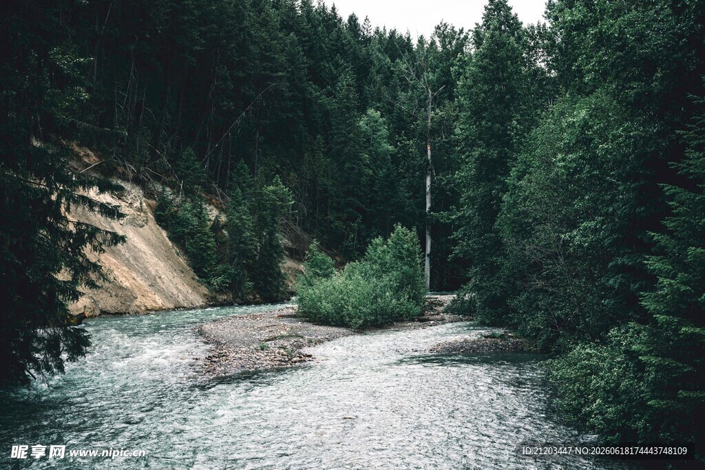 山间溪流绿意盎然之景