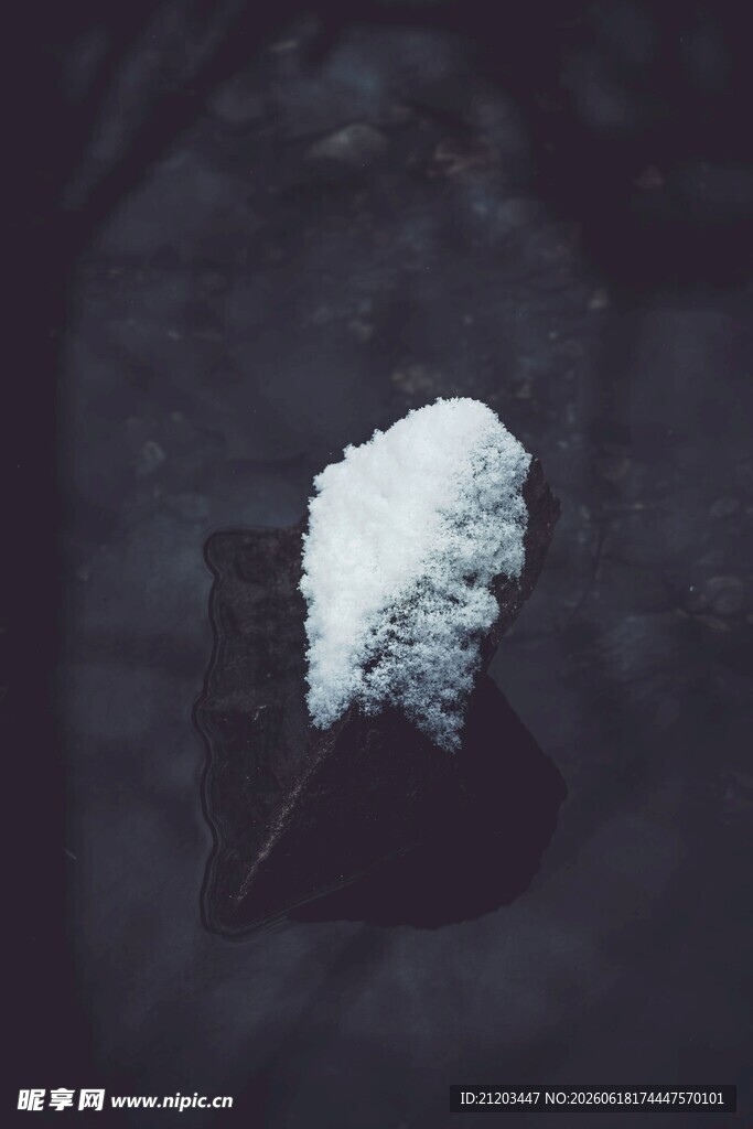 枝头残雪