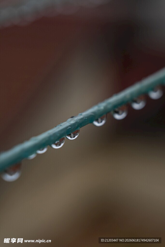 雨后天晴铁丝上的晶莹水珠