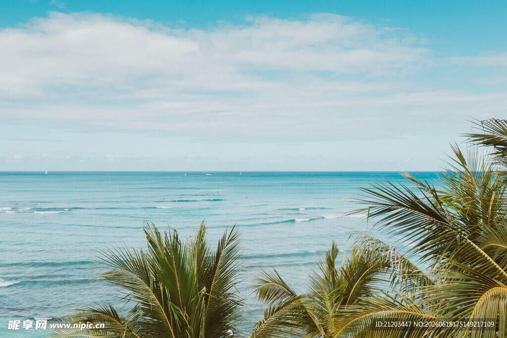 海边椰林邂逅蓝色浪漫