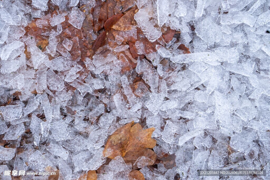 雪覆地面与枯叶景象