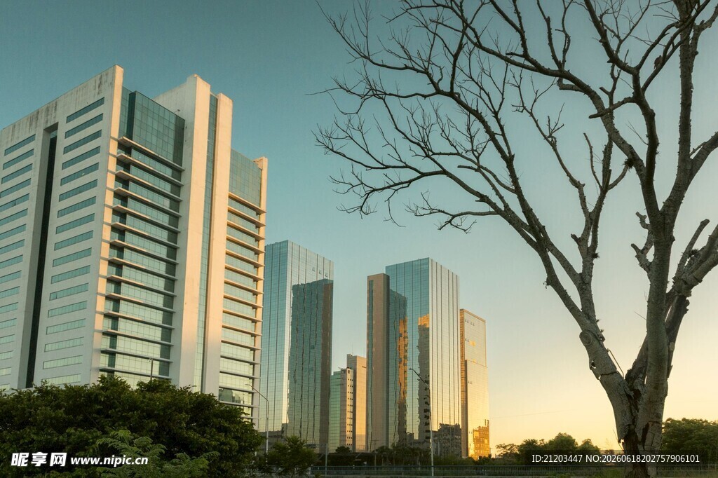 夕阳下的现代城市高楼景观