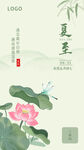 夏至海报
