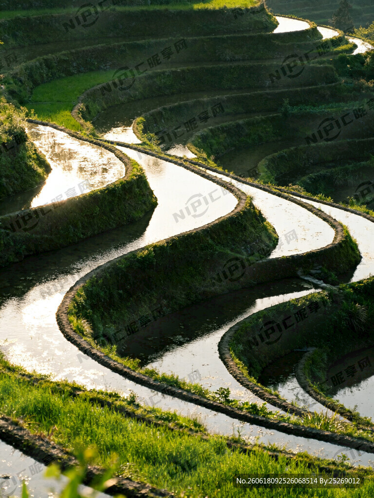 皖南梯田