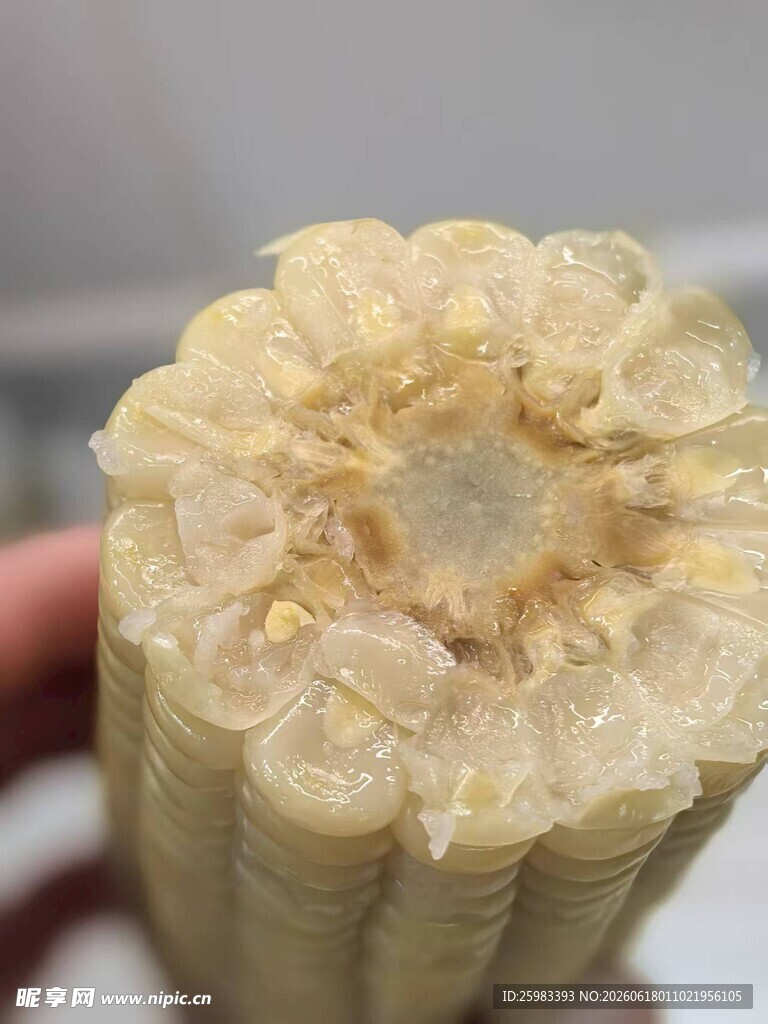 煮玉米