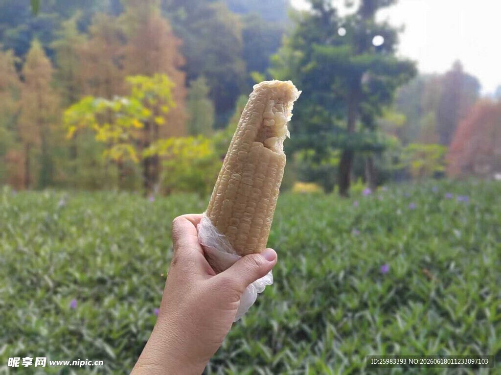 煮玉米