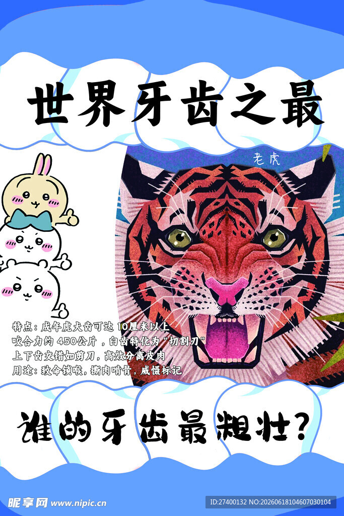世界牙齿之最老虎牙齿探秘