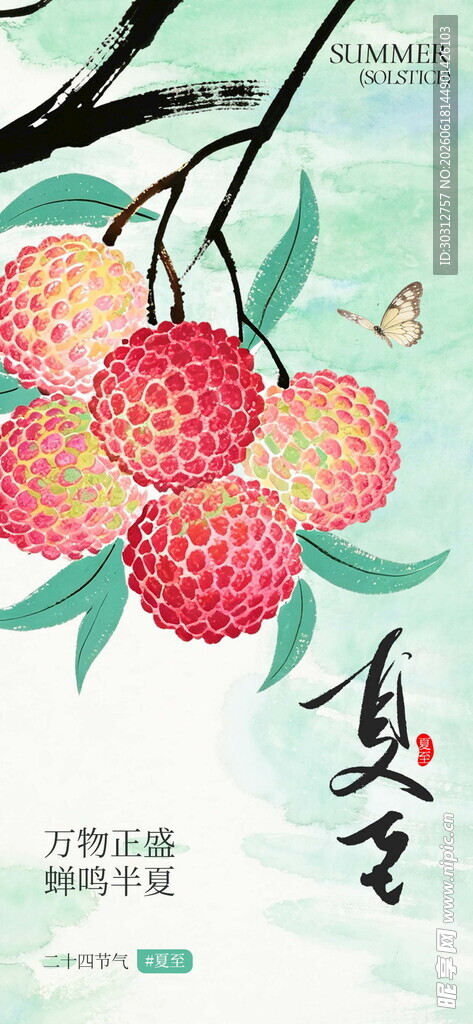 夏日枝头荔枝硕果累累