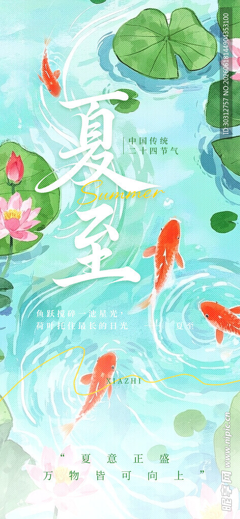 夏日荷塘锦鲤插画