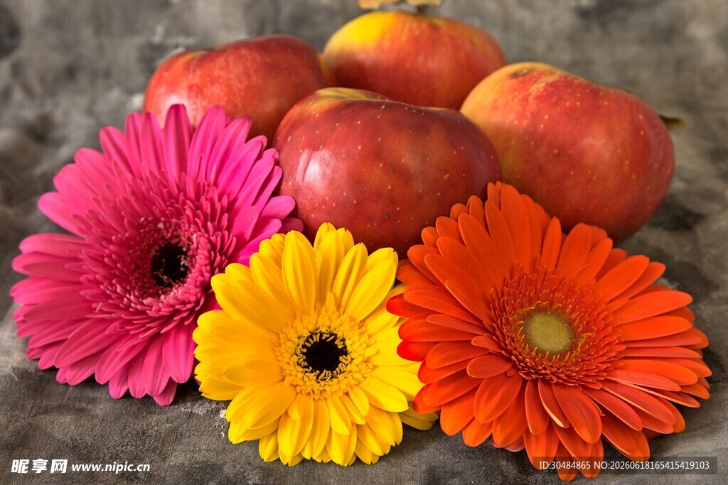 菊花与苹果