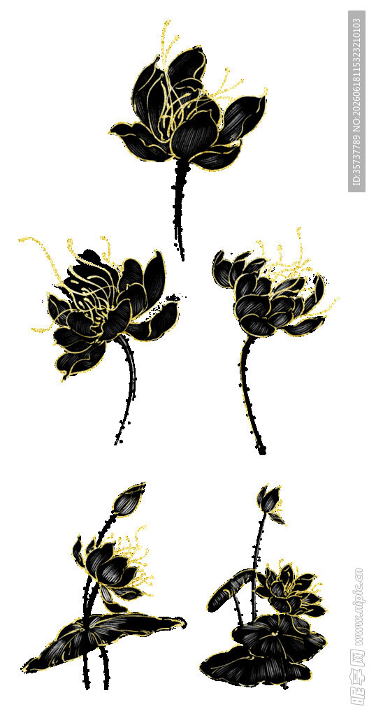 黑色花卉设计素材