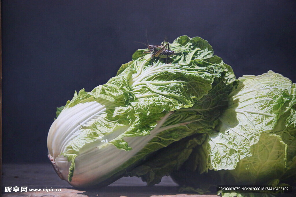 新鲜大白菜色泽翠绿诱人