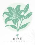 百合花
