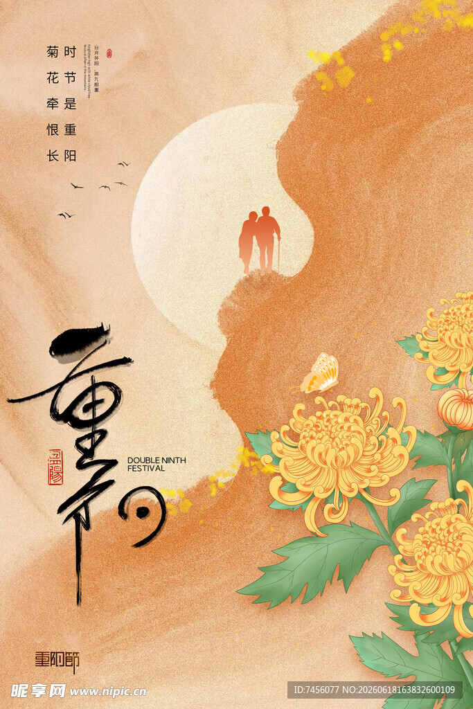重阳佳节菊花景