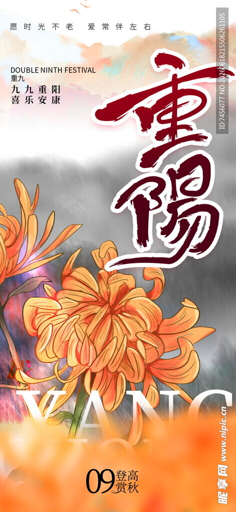 重阳佳节菊花盛放图景
