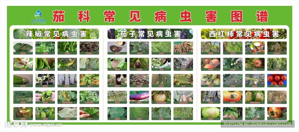 病虫害展示图