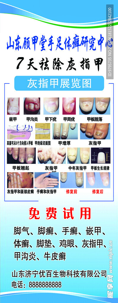顾甲堂展架