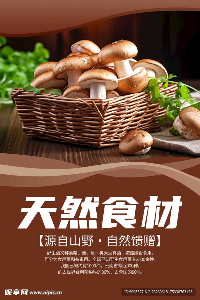 野生菌广告 