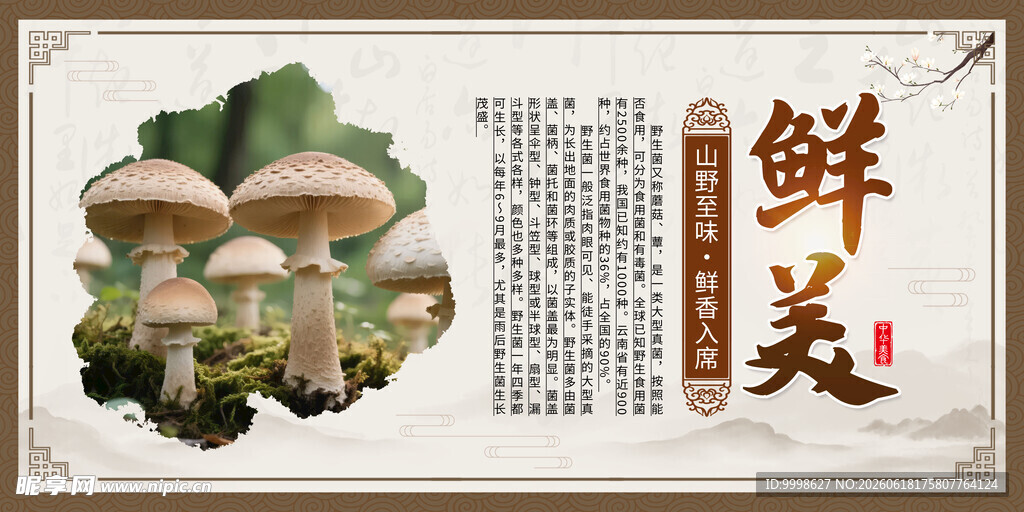 野生菌