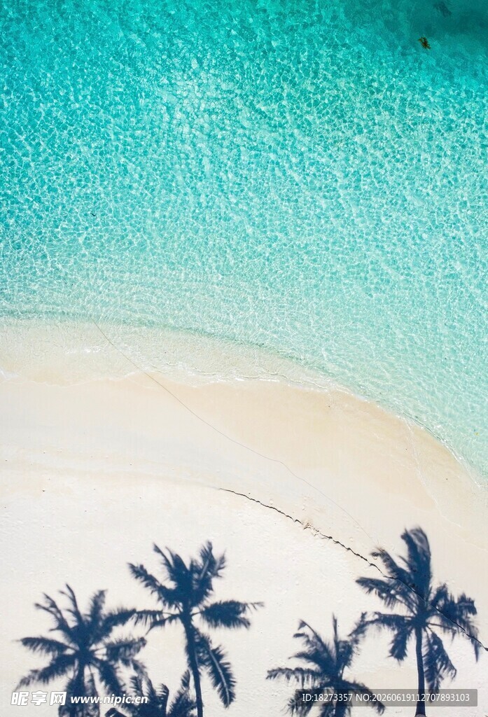 沙滩