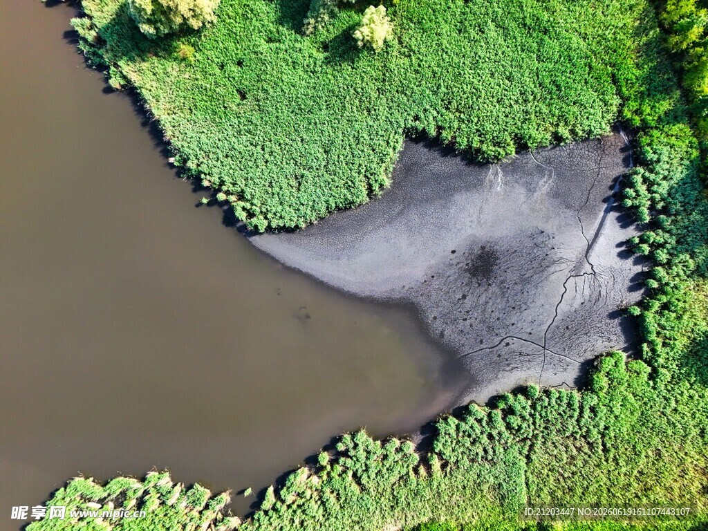 俯瞰水域旁的绿色湿地