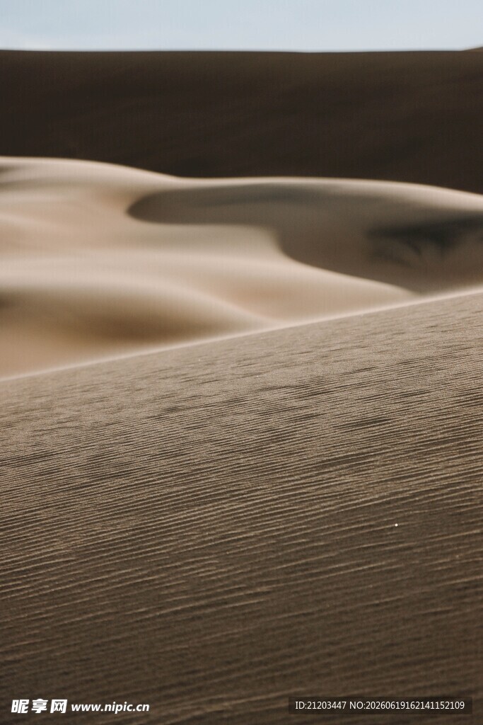 沙漠沙丘景观
