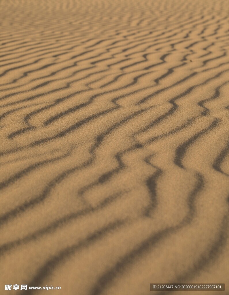 沙漠纹理特写