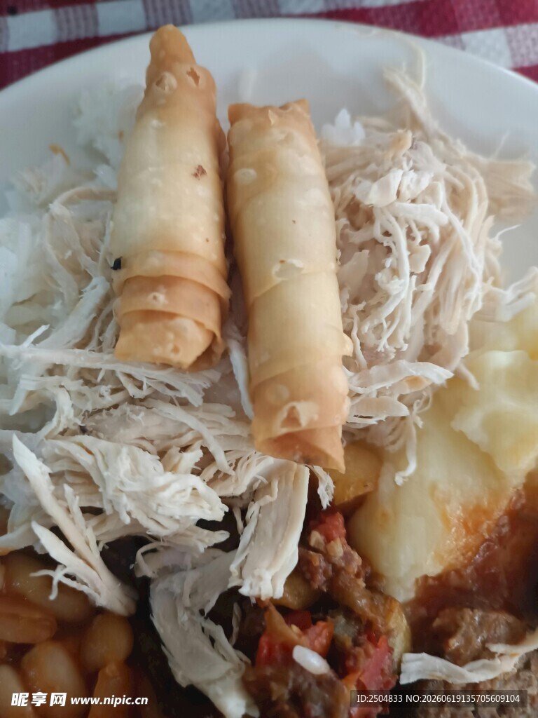 美味炸春卷搭配多样食材