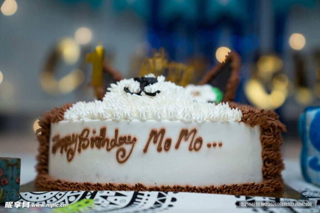 生日蛋糕 庆祝 Mr 派对 装