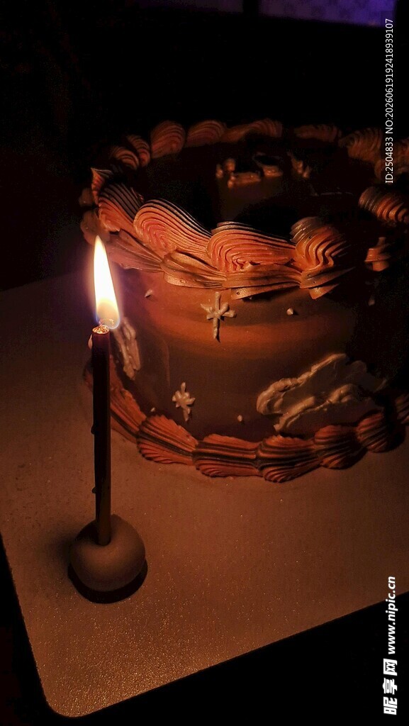 点燃蜡烛的美味生日蛋糕