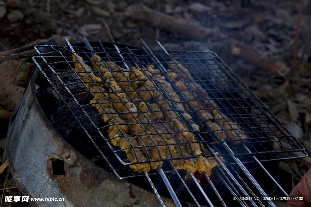户外烧烤中的美味肉串