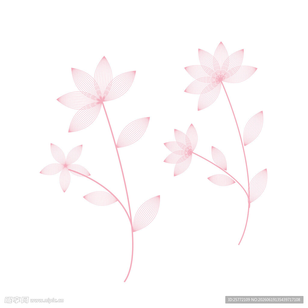 粉色线条花朵插画