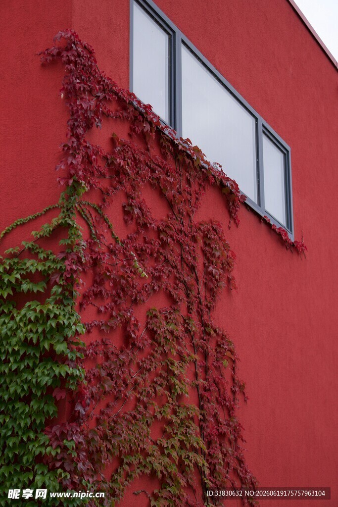 红墙绿植自然与建筑的融合