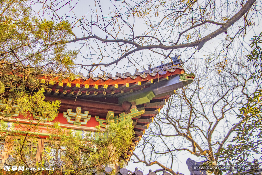 中式古建筑屋檐与绿树