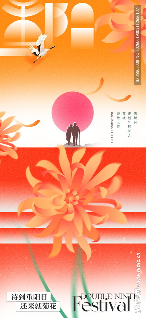 重阳节绚丽花朵插画