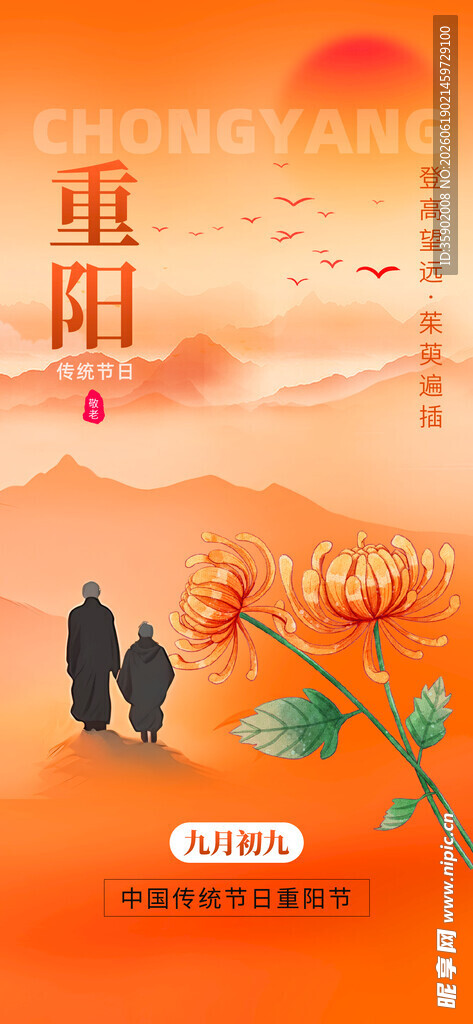 重阳佳节老人漫步赏菊