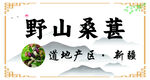 野山桑葚