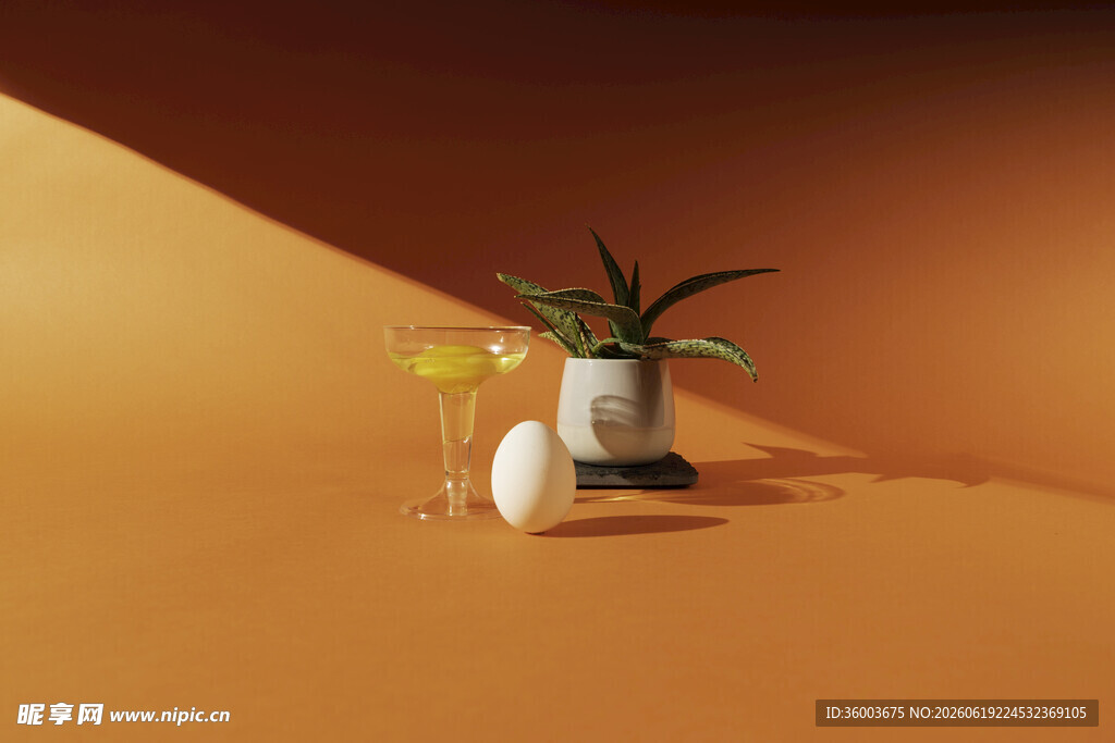 简约风植物摆件静物图