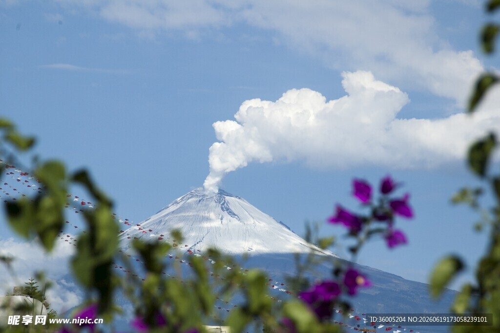 远山紫花相伴的美丽景致